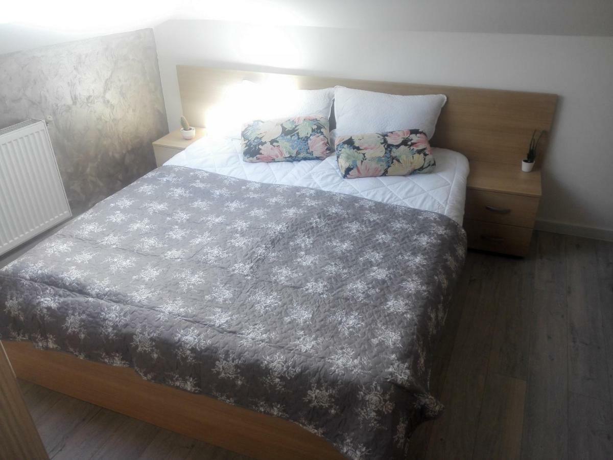 A. Einstein 9A Apartament Клуж-Напока Екстер'єр фото