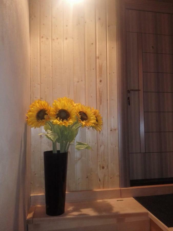 A. Einstein 9A Apartament Клуж-Напока Екстер'єр фото